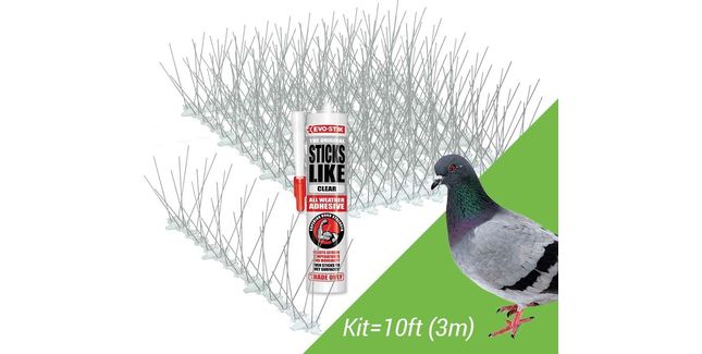 Sticks Like Sh-t Pigeon Spikes Kit