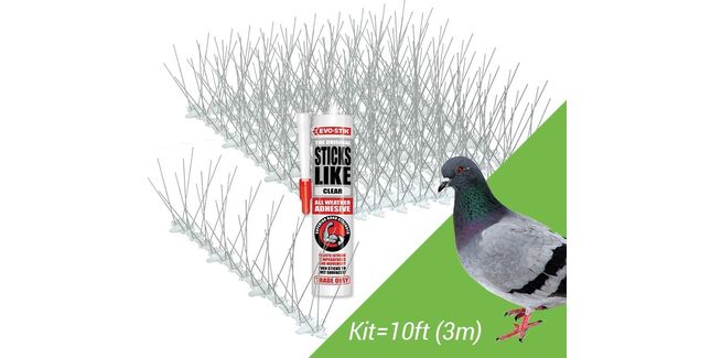 Sticks Like Sh - T Plastic Pigeon Spikes Kit