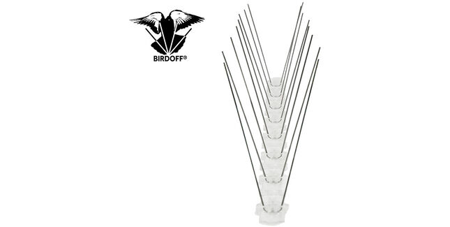 Birdoff Pigeon Spike