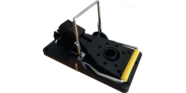 Pestfix Professional Mouse Snap Trap