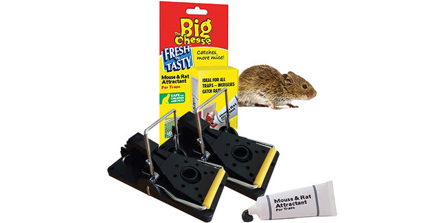 Pestfix Mouse Trap Breakback Snap Traps with Lure