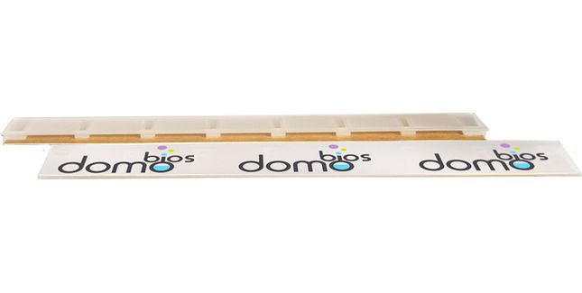 Domobios Bed Bug Trap (Pack of 10)