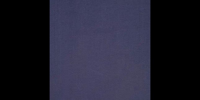 FAKRO Manual Blackout Roller Blind in Colour 051 (ARF I)