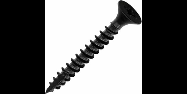 Triton S/S Cladding Screws - Pack of 100