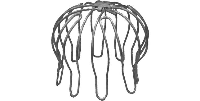 Stainless Gutta Gutter Leaf Guard