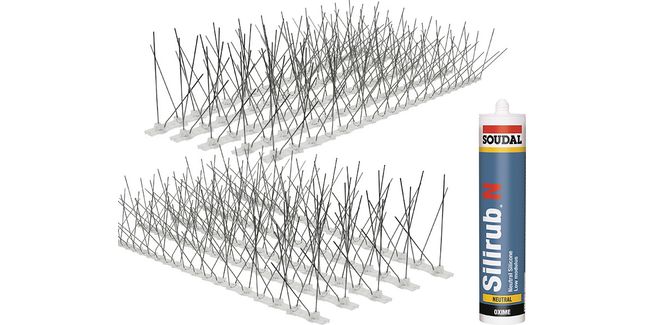 PestFix Pigeon Spikes &amp; Adhesive (5 Metre Kit)