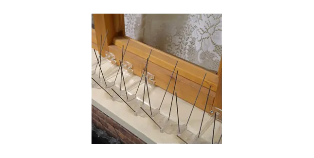 Pigeon Spikes Window Kit (5m)