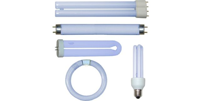 Sylvania LS36WX-S 36W 24 Inch Straight UVA Standard Lamp