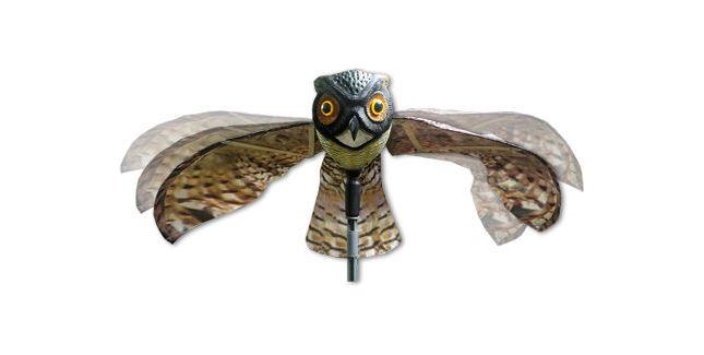 Bird-X Decoy Prowler Owl