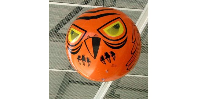 Bird-X Terror Eyes Inflatable Bird Repeller