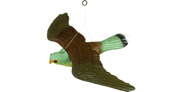 Decoy Flying Falcon