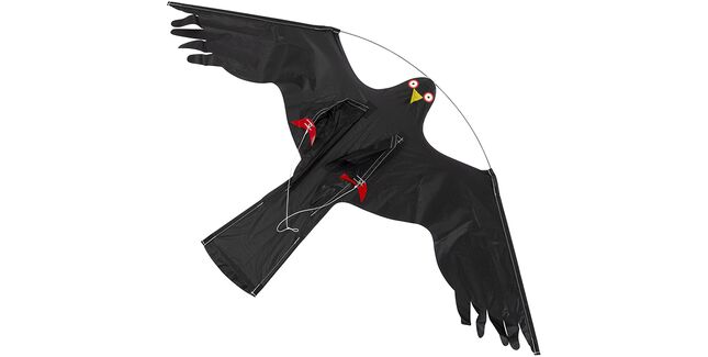 Replacement Kite for Hawk Kite Kit