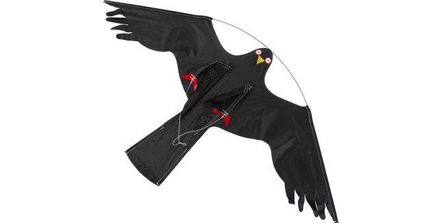 Replacement Kite for Hawk Kite Kit