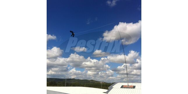 Hawk Kite Free Standing Mount