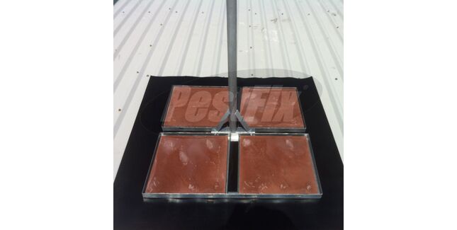 Hawk Kite Free Standing Mount