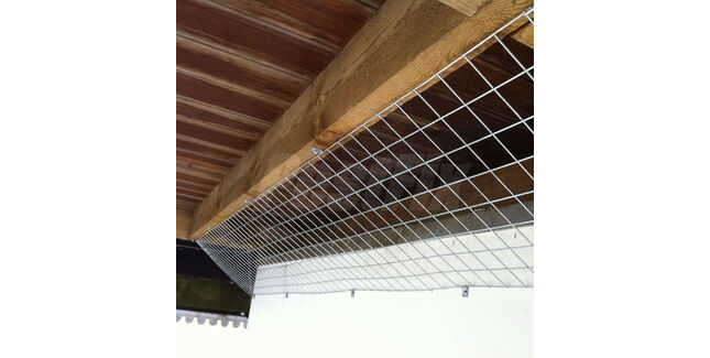 14G Galvanised Steel Mesh / Weldmesh (50mm x 50mm) - 25m x 0.9m