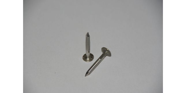Envirotile 30mm x 3.35mm Stainless Steel Nails (1kg)
