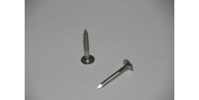 Envirotile 30mm x 4mm Stainless Steel Envirscrew - TX20 Head (1kg)