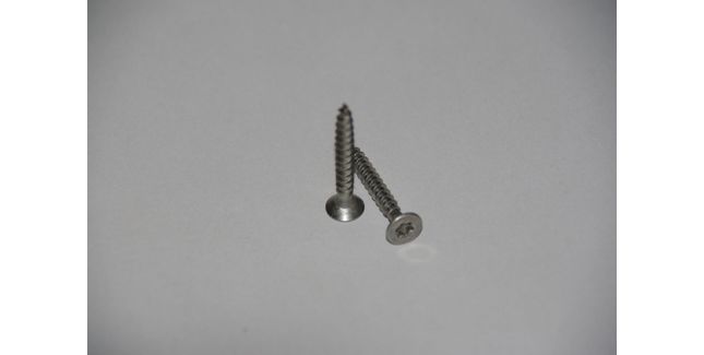 Envirotile Eave Bar Stainless Steel Screws (Pack of 50)